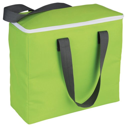 Arctic Zone® 30 Can Foldable Freezer Tote
