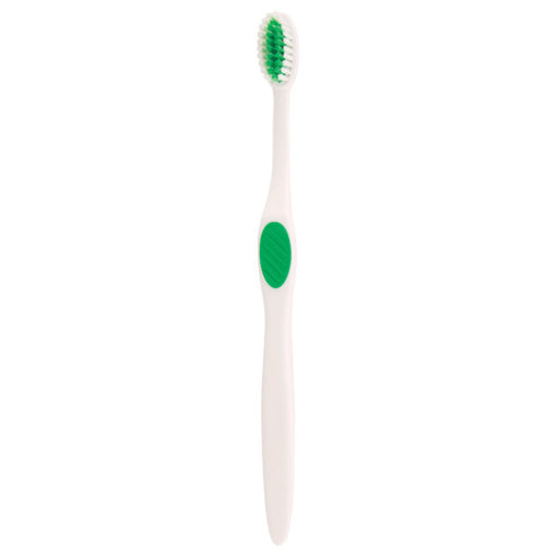 Winter Accent Toothbrush-1