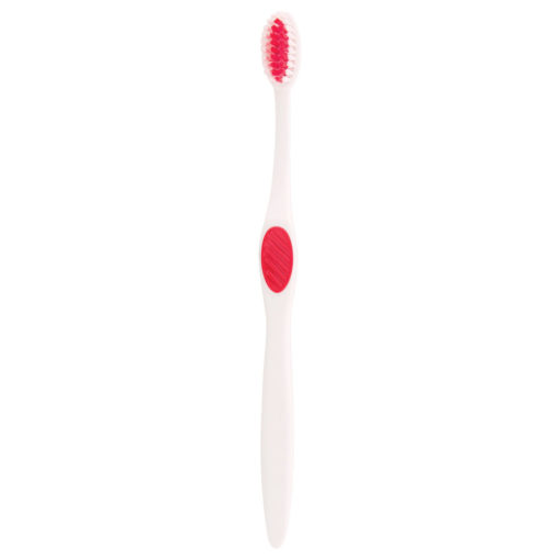 Winter Accent Toothbrush-3
